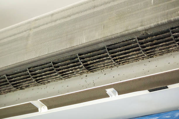 Best Air Duct Cleaning Near Me  in Gwinn, MI